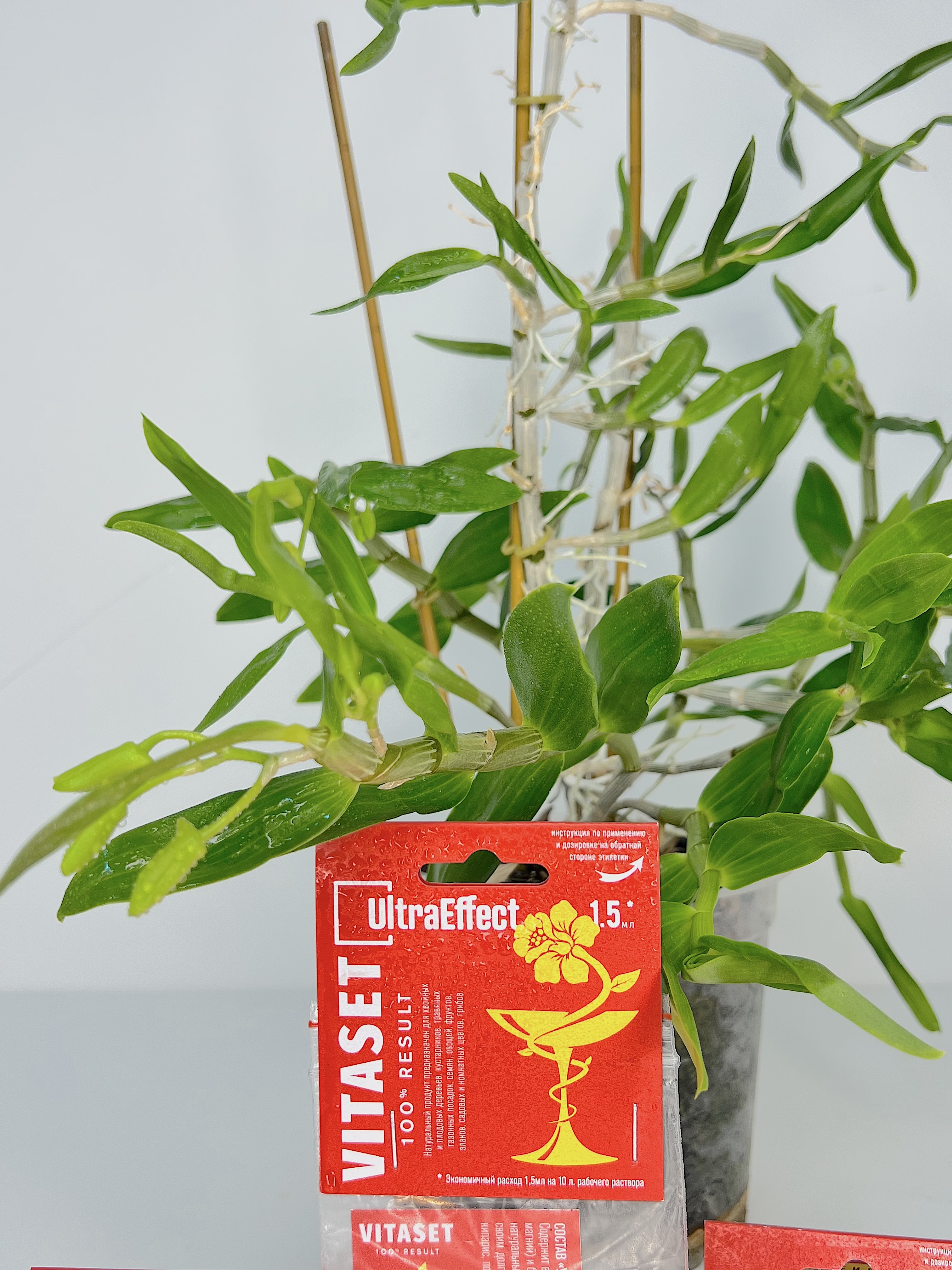 Универсальный биостимулятор роста растений UltraEffect VitaSet 100% result - Виталайзер нового поколения, 1,5мл ВитаЛайзер ВитаСет УльтраЭффект натуральны стимулятор комнатных растений
